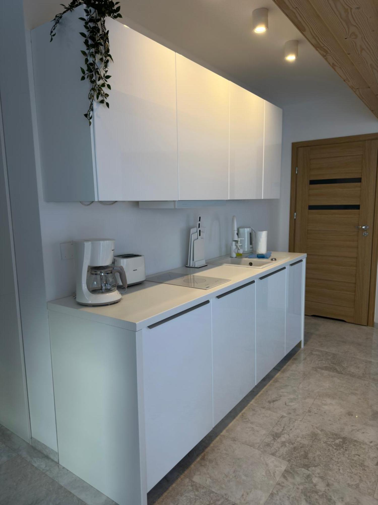 Apartamenty Willa Nika Закопане Екстер'єр фото