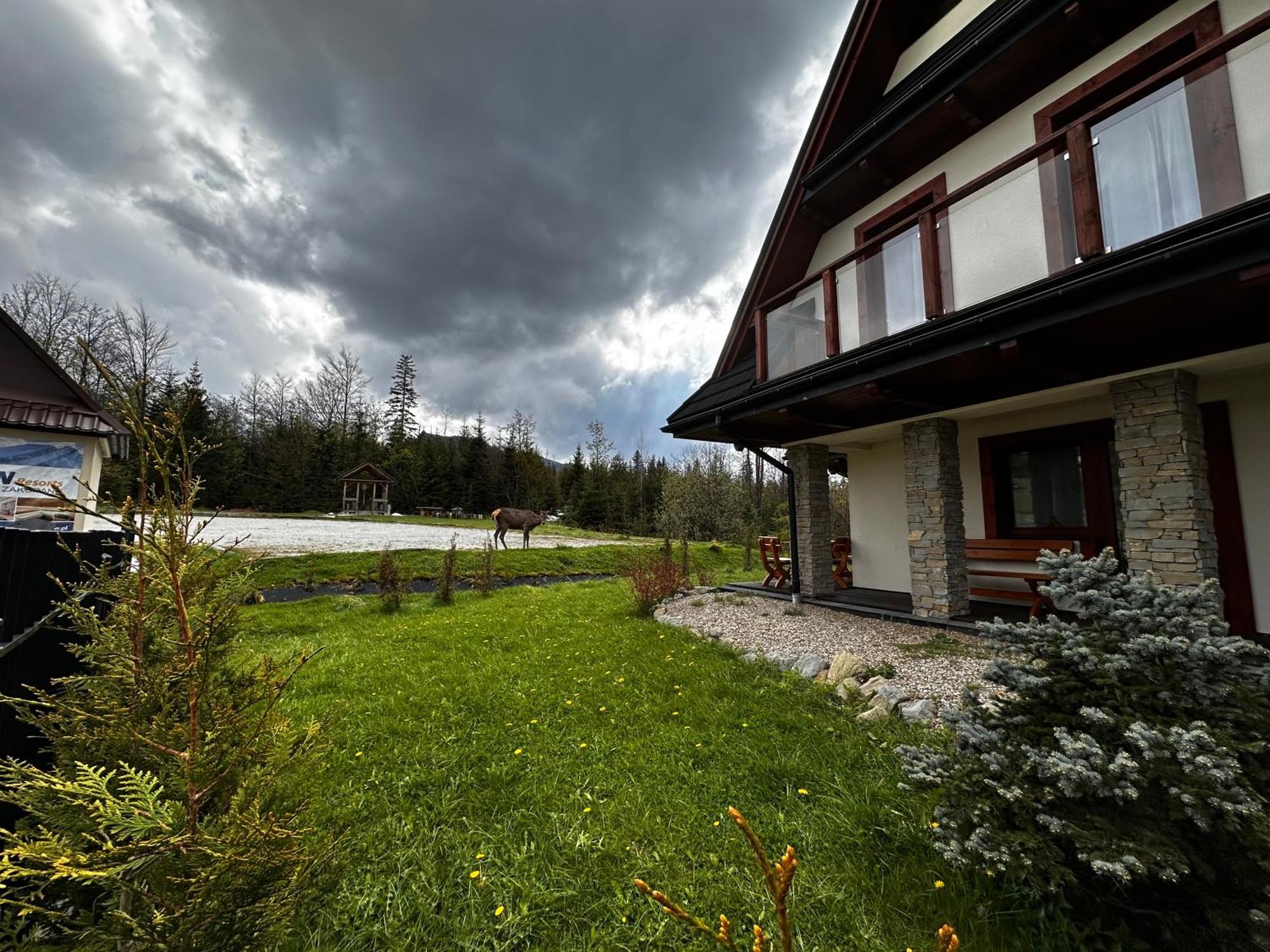 Apartamenty Willa Nika Закопане Екстер'єр фото
